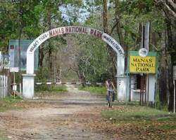 Image of Manas National Park, Assam (medium)