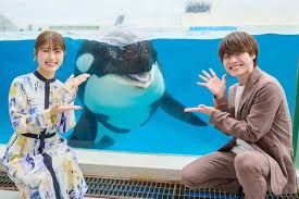 au Webポータル - News update