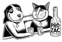 Résultat de recherche d'images pour "cats and dogs living together pictures"