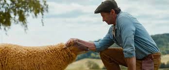 The Sheep Detectives: Farmland murder mystery is a shear delight