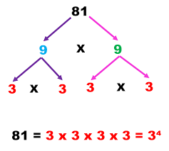 Resultado de imagen de descomposicion en factores primos