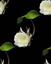 �������� �� ������� ������������� �������� � ����������� ������� ���