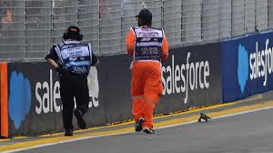 Formula 1 practice race suspended after large lizard invades the track 
ahead of Singapore Grand Prix