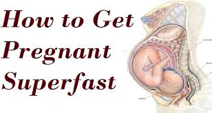 Image result for positions to get pregnant fast