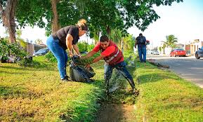Quadratin Quintana Roo - News update