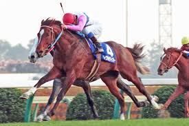 東スポ競馬 - News update