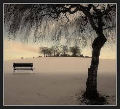 Image result for ‫هجران‬‎