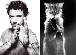 Image result for men and cats tumblr