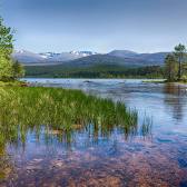 Aviemore