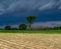 Image of Monsoon season landscape