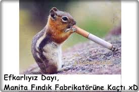 komik resimler ile ilgili g&ouml;rsel sonucu