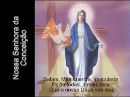 Resultado de imagem para viva nossa senhora da conceição