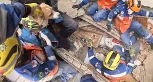 Veja: Brasileiros resgatam cachorra após 100 horas em escombros na Colômbia