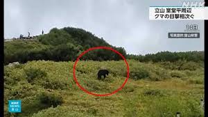 NHK - News update
