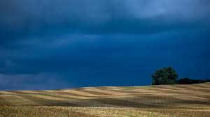 wetter kassel