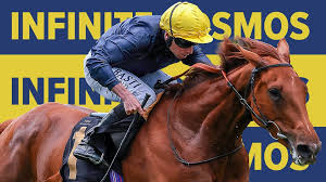 Musidora Stakes: A Battle of Oaks Hopefuls – Can Infinite Cosmos Dominate or Will a New Star Rise?