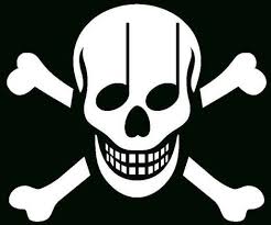 Image result for Piracy