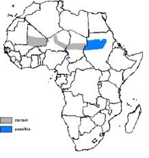 Résultat de recherche d'images pour "dama gazelles"