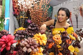 Image result for orissa images