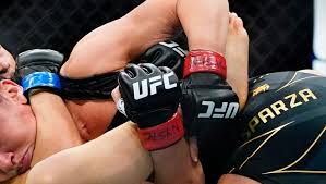 UFC Vegas 116: Talita Alencar vs. Julia Polastri Predictions & Odds
