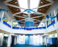 Image of Gulf of Mexico Exhibit at the Texas State Aquarium
