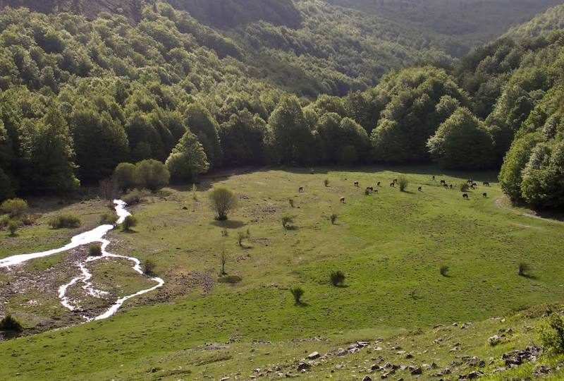 Parco Nazionale del Pollino