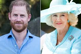Queen Camilla Is a ‘Non-Negotiable’ in Prince Harry’s Reconciliation with King Charles (Exclusive)