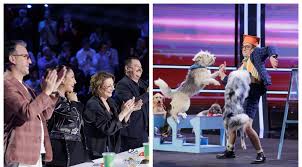 Cine este Mikhail Ermakov, dresorul de câini care a primit Golden Buzz de la Andra. „Nu am mai văzut așa ceva”