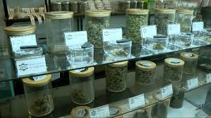 North Carolina Considers Marijuana Legalization Amidst Illegal Sales
