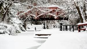 Bucks County Schools Announce Delays for Tomorrow