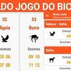 resultado do jogo do bicho da federal de quarta