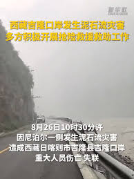 生命至上！各方力量，向这里集结！