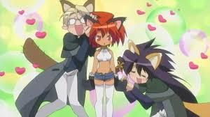 Bildergebnis für macademi wasshoi