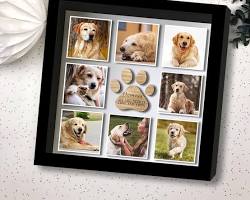 various custom pet goods made with photosの画像