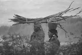Image result for dalit genocide