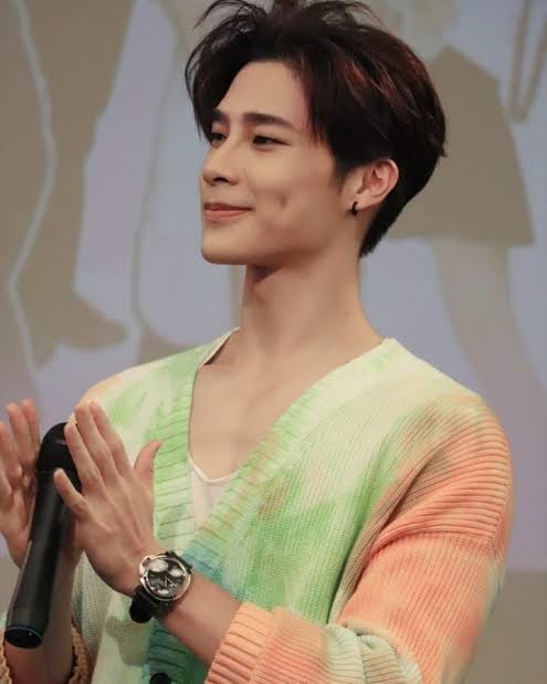 Taiwanese Rising Stars BL