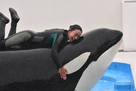 鴨川シーワールド シャチショーは来るたび感動する トレーナーさんとシャチの絆あって 素晴らしいショーができる 絶やさないために少しでも通って シャチに還元出来たらいいな♥️ 8月また鴨シー行きます サマースプラッシュ浴びて来るぜ シャチとトレーナーさんの絆の ...