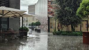 VeneziaToday - News update