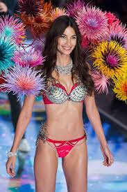 Image result for victoria secret fashion show 2015 december