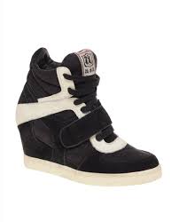 images?q=tbn:ANd9GcTSVWJh5YKINrnXNhtN-v-4AE3UyOPThkbc4dW7adgPHEXfgpuIsw