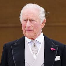 Stoic King Charles braves the rain as he makes rare solo appearance at garden party without Camilla
