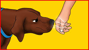 Science Confirms Dogs Can Recognize a Bad Person | by My ...