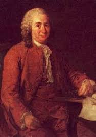 Image result for linnaeus