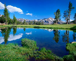 Image of Tuolumne Meadows Yosemite National Park