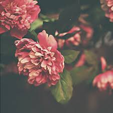 ���� ���� ������ �� ���� ������