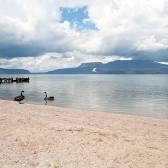 Lake Rotorua / Te Rotorua nui ā Kahumatamomoe