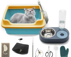 various cat supplies, including food, bowls, litter box, toys, scratching post, and grooming tools.の画像