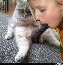 Image result wey dey for pussy