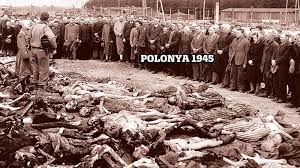 hitler almanyasında romanların öldürülmesi ile ilgili görsel sonucu