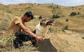Bianet - News update